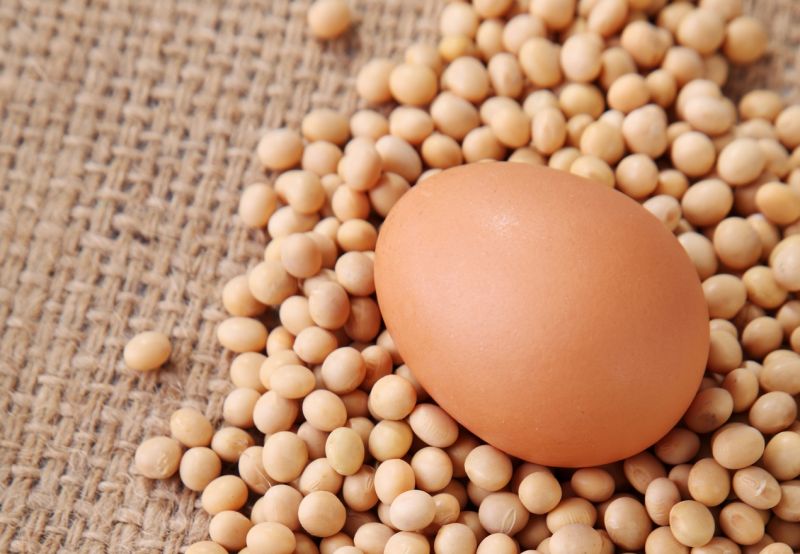 5 nguyên tắc vàng dinh dưỡng